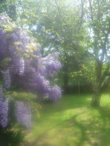 Photography titled "Glycine" by Béatrice Marie Penaud, Original Artwork