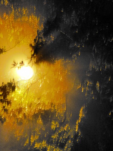 Photographie intitulée "Nuit d'ambre" par Béatrice Marie Penaud, Œuvre d'art originale, Photographie numérique