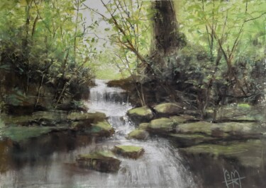 Painting titled "Sous-bois et ruisse…" by Béatrice Mitry, Original Artwork, Pastel