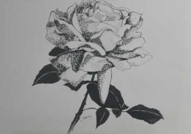 Drawing titled "rose en noir et bla…" by Beatrice Auriol Besombes, Original Artwork, Ink