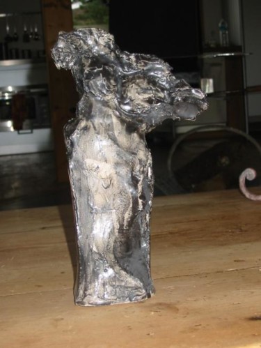 Sculpture intitulée "IMG_4198.JPG" par Beatrice Bossard, Œuvre d'art originale