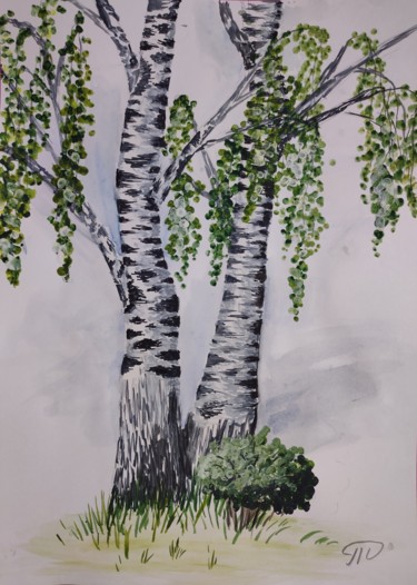 Картина под названием "Две берёзы" - Татьяна Скворцова, Подлинное произведение искусства, Акварель