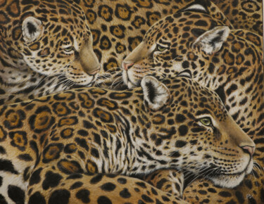 Painting titled "Jaguars au repos ,…" by Behzad Nahed, Original Artwork, Acrylic