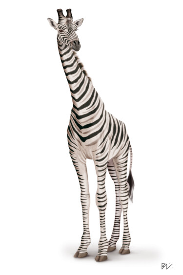 Digital Arts titled "Girafe zèbre" by Behzad Nahed, Original Artwork, Digital Painting
