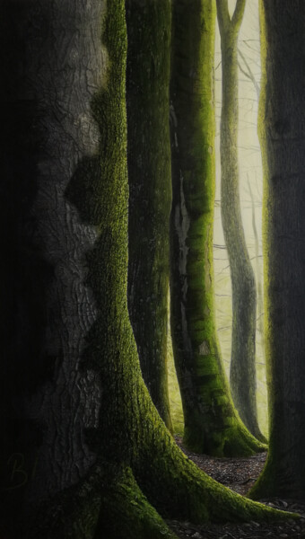 "Oldest Trees" başlıklı Tablo Bekir İSlam tarafından, Orijinal sanat, Pigmentler Ahşap Sedye çerçevesi üzerine monte edilmiş