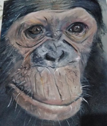Painting titled "Chimpanzé Natacha g…" by Isabela Lopes, Original Artwork, Oil