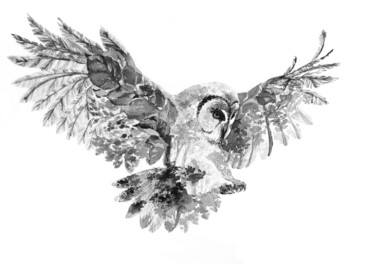 Schilderij getiteld "Owl, Black&White" door Yulia Belasla, Origineel Kunstwerk, Aquarel