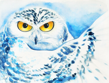 Painting titled "White owl" by Yulia Belasla, Original Artwork, Watercolor