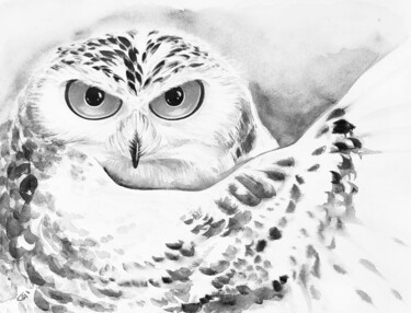 Painting titled "White owl, Black&Wh…" by Yulia Belasla, Original Artwork, Watercolor