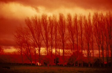 Photographie intitulée "winter dusk" par Belleart., Œuvre d'art originale, Photographie argentique