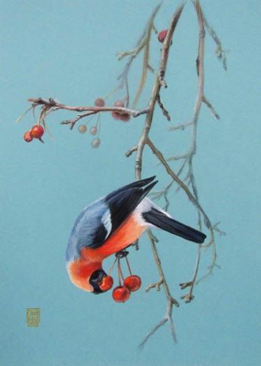 Painting titled "The Bullfinch. Orig…" by Ekaterina Styazhkina, Original Artwork, Pastel