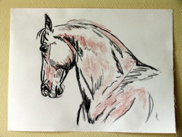 Drawing titled "cheval-portrait" by Jean-Luc Bellini, Original Artwork, Chalk