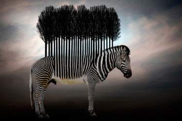 Digital Arts titled "Stripe trees" by Ben Goossens, Original Artwork, Photo Montage