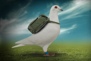 Digital Arts titled "Travel pigeon" by Ben Goossens, Original Artwork, Photo Montage