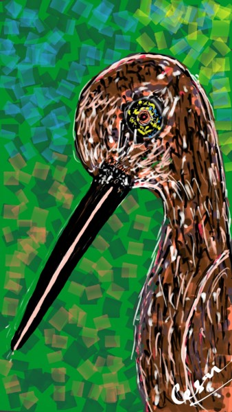 Digitale Kunst mit dem Titel "Scolopax." von Taoufiq Benabdellah, Original-Kunstwerk, Digitale Malerei