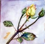 Pintura titulada "LA Rosa" por Benilde, Obra de arte original, Acuarela