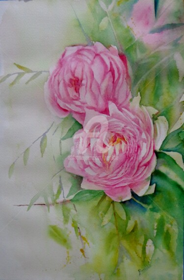 Painting titled "Rosas" by Benilde, Original Artwork, Watercolor