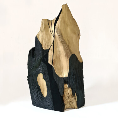 Скульптура под названием "Primordial 1" - Benjamin Debayle, Подлинное произведение искусства, Полимерная глина
