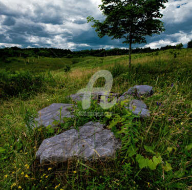 Photographie intitulée "a-premonition-of-a-…" par Benjamin, Œuvre d'art originale