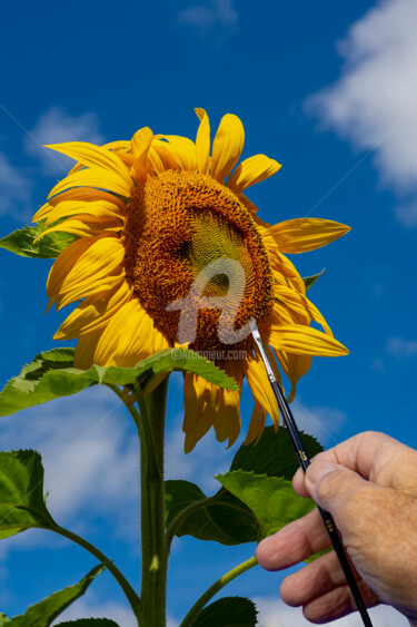 Fotografie getiteld "Sunflower and artis…" door Benjamin, Origineel Kunstwerk, Digitale fotografie