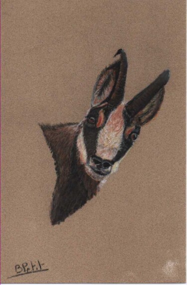 Schilderij getiteld "chamois" door Benjamin Petit, Origineel Kunstwerk, Pastel