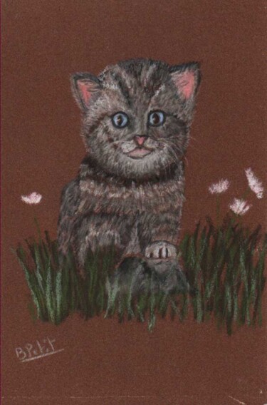 Peinture intitulée "chat" par Benjamin Petit, Œuvre d'art originale, Pastel