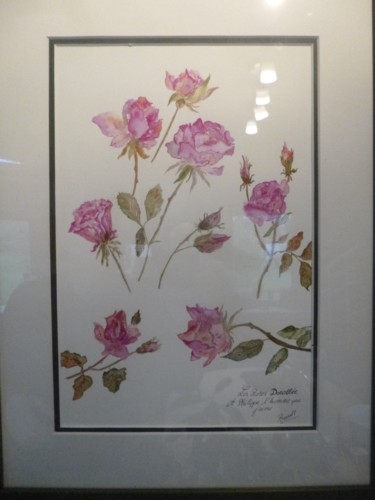 Painting titled "Roses botaniques" by Benoit Boniface, Original Artwork, Watercolor