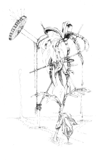 Disegno intitolato "Chrysanthemum varia…" da Benoît Gauthier, Opera d'arte originale, Inchiostro