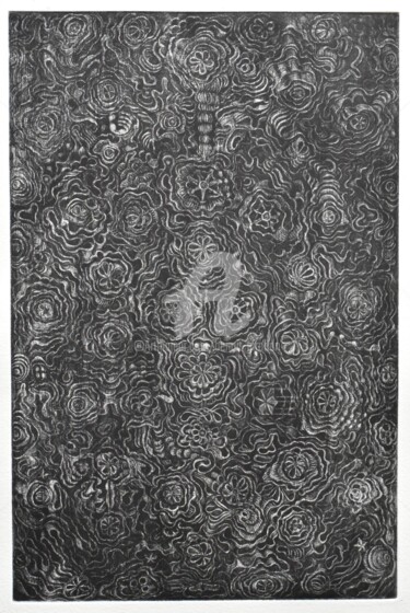 Gravures & estampes intitulée "joubarbe" par Benoît Girodon, Œuvre d'art originale, Eau-forte