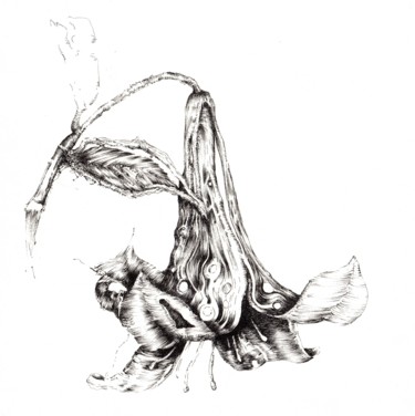 Dessin intitulée "HOKUSAI Lys détail…" par Benoît Gauthier, Œuvre d'art originale, Encre