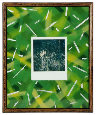 Photography titled "bamboo shoot 1" by Béopé, Original Artwork, Manipulated Photography