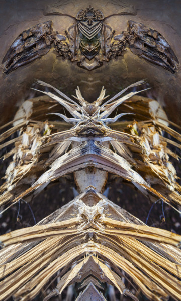 Digitale Kunst getiteld "Le fossile du guerr…" door Bernard Vincent, Origineel Kunstwerk, Foto Montage