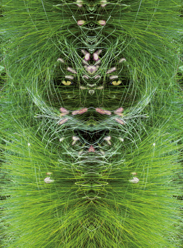 Arts numériques intitulée "Le masque de la Par…" par Bernard Vincent, Œuvre d'art originale