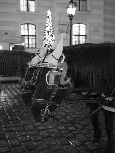 Photography titled "Christmas - Wien 2" by Zsolt Beregi, Original Artwork, Digital Photography