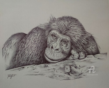 Drawing titled "Chimp." by Bérengère Labarthe (Lab-Art), Original Artwork, Ballpoint pen