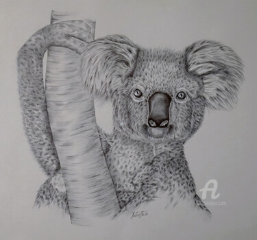 Zeichnungen mit dem Titel "Koala" von Bérengère Labarthe (Lab-Art), Original-Kunstwerk, Kugelschreiber