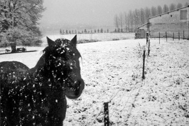 Photographie intitulée "sous la neige" par Bernard Jacques, Œuvre d'art originale