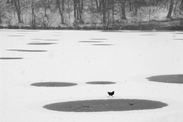 Photographie intitulée "seul" par Bernard Jacques, Œuvre d'art originale