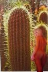 Arts numériques intitulée "Cactus" par Henri Berna, Œuvre d'art originale