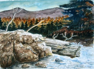 Peinture intitulée "paysage" par Bernard, Œuvre d'art originale, Huile