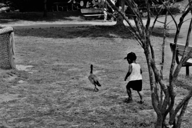Fotografie mit dem Titel "Duck Hunt" von Bernard Best, Original-Kunstwerk, Digitale Fotografie