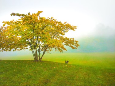 Fotografie getiteld "Foggy Doggy" door Bernard Best, Origineel Kunstwerk, Digitale fotografie