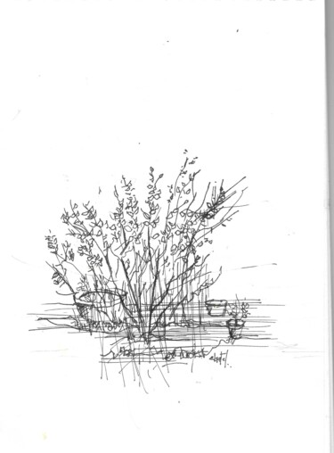 Dessin intitulée "croquis jardin" par Bernard Chatel, Œuvre d'art originale, Encre