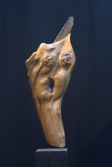 Sculpture titled "Transmutation" by Bernard Chenu, Original Artwork, Wood