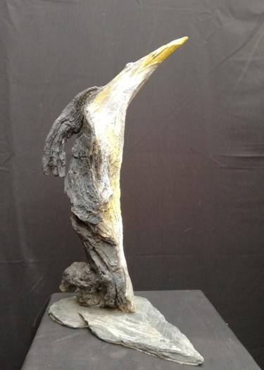 Скульптура под названием "le blongion "huppé"" - Bernard Chenu, Подлинное произведение искусства, Дерево