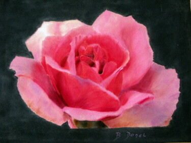 Картина под названием "La rose  N°  29" - Bernard Danel, Подлинное произведение искусства, Другой