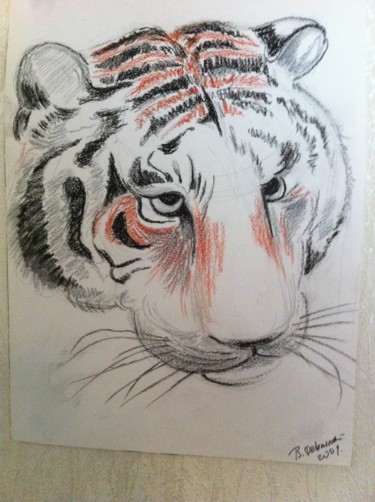 Dessin intitulée ""portrait de tigre"" par Bernard Debusschere, Œuvre d'art originale, Fusain