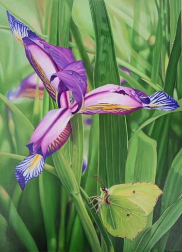 Painting titled "Composition 8: Iris…" by Bernard Domange, Original Artwork, Oil