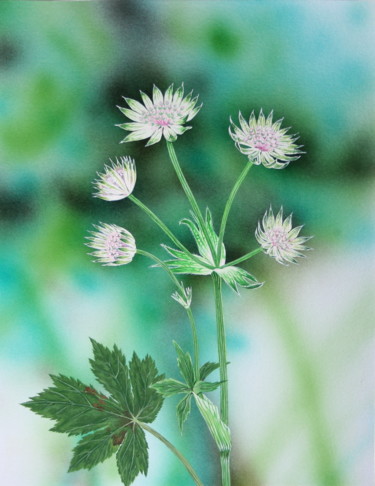 Pintura titulada "Flore des Pyrénées 6" por Bernard Domange, Obra de arte original, Acrílico