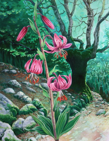 Pintura titulada "Flore des Pyrénées…" por Bernard Domange, Obra de arte original, Acrílico